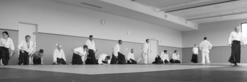 Stage au dojo de Bezons, Aikido Arcueil y était !