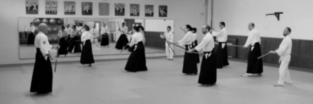 Photo du stage d'Aikido Arcueil 2018